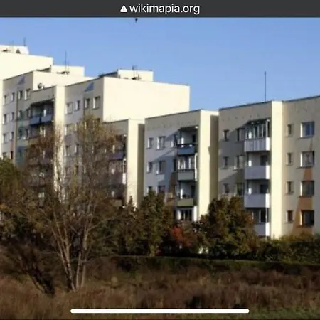 Summer Apartment